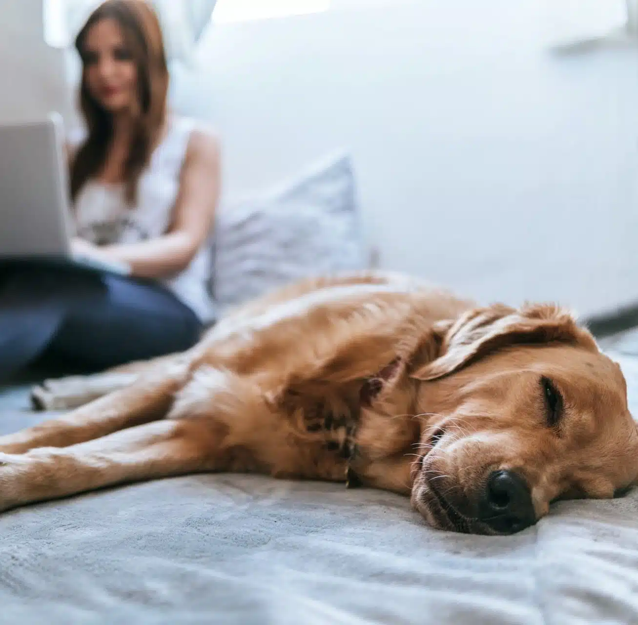 Girl and her dog enjoying cozy indoor comfort thanks to a well-maintained HVAC system