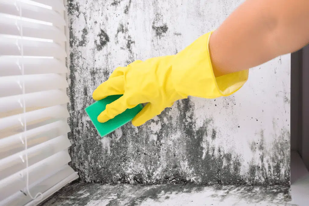 A woman scrubbing a moldy wall caused by water damage, highlighting the importance of proper HVAC maintenance.